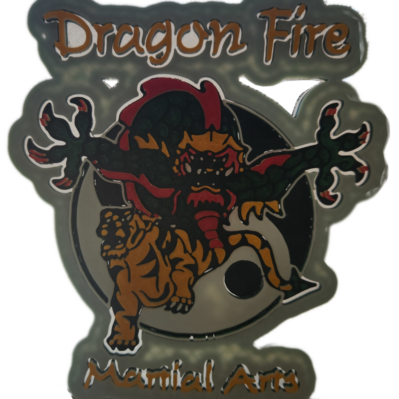 Dragon Fire Martial Arts 3D Logo