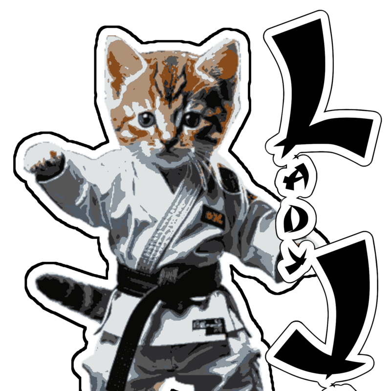 Lady Jen 3D Print Martial Arts Cat Concept