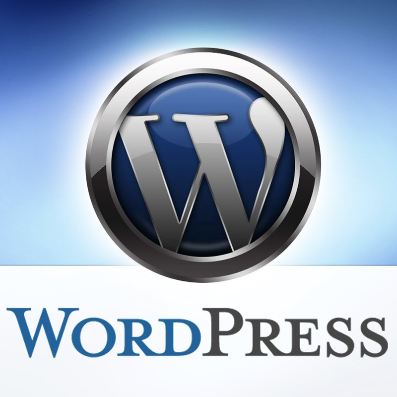 Guru Guy's hosting platform is WordPress capable, allowing you and Guru Guy to create stunning websites with this common easy to use website builder.